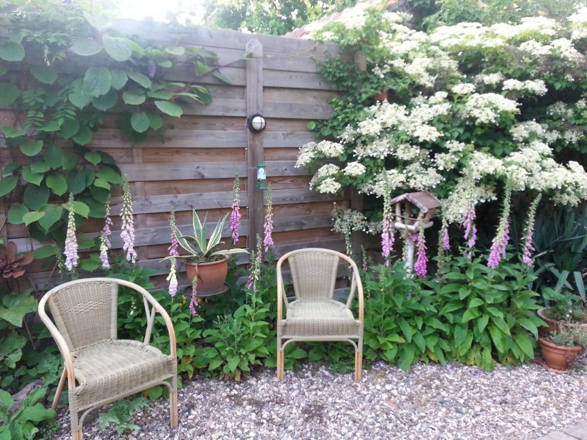 B & B De Pimpelmees 's-Gravenmoer ภายนอก รูปภาพ